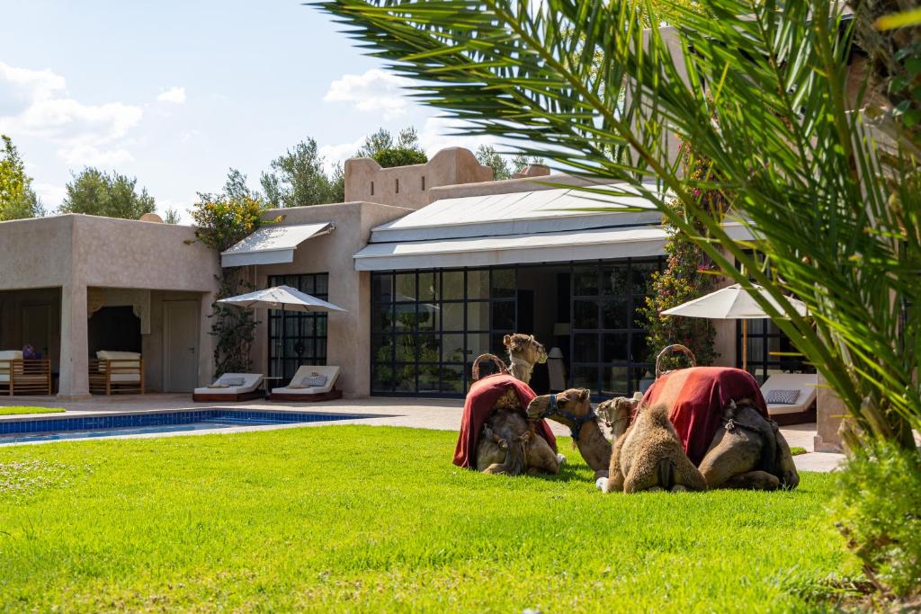 Villa Sahar — photo 2