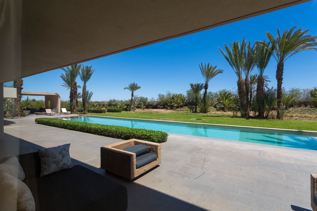 Moonshine — photo 3