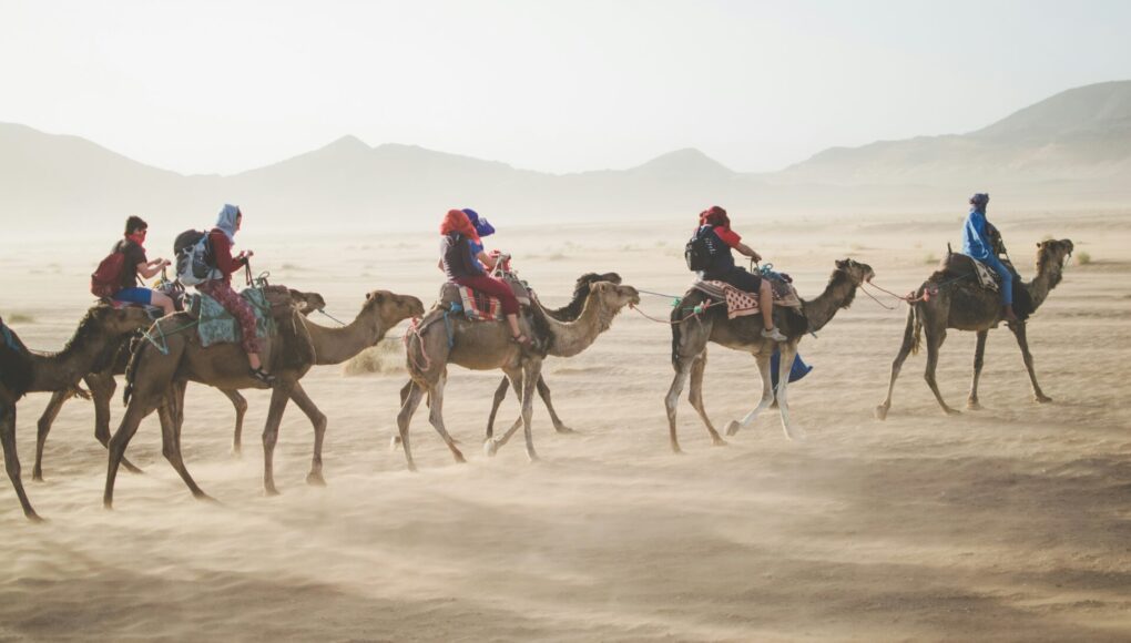 Marrakech for holiday