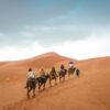 camel ride marrakech