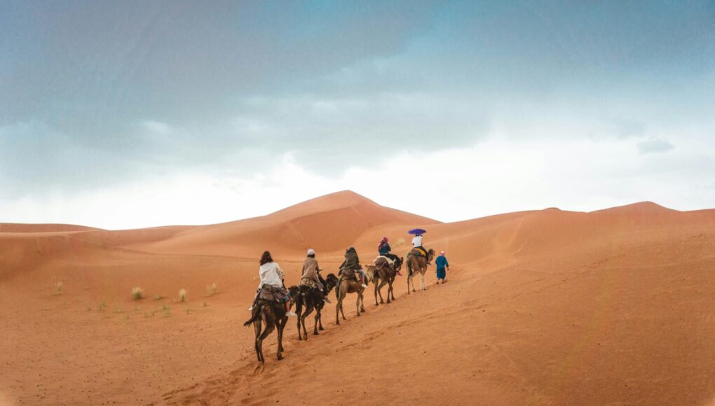 camel ride marrakech